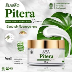 รับผลิตครีม วิ้งส์ OEM Pitera Cream โรงงานรับผลิตครีม รับผลิตครีมกาแลคโตมัยเซส winkscosmed