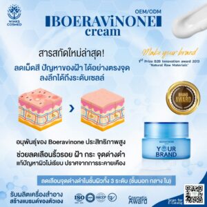 โรงงานรับผลิตครีม รับผลิตครีม Boeravinone Cream ยับยั้งสร้างเมลานิน วิ้งส์ คอสเมด