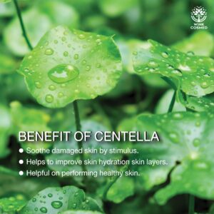 รับผลิตมูสโฟม Mousse Foam โรงงานรับผลิตมูสโฟม วิ้งส์